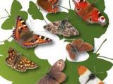 Razstava metulji sveta